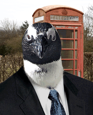 Photoshop Design by wi00zx for DesignCrowd (Community Contests) | Design #9049907