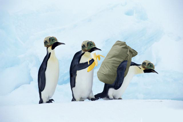 Photoshop-Design von Paranoz für DesignCrowd (Community Contests) | Design #9049910