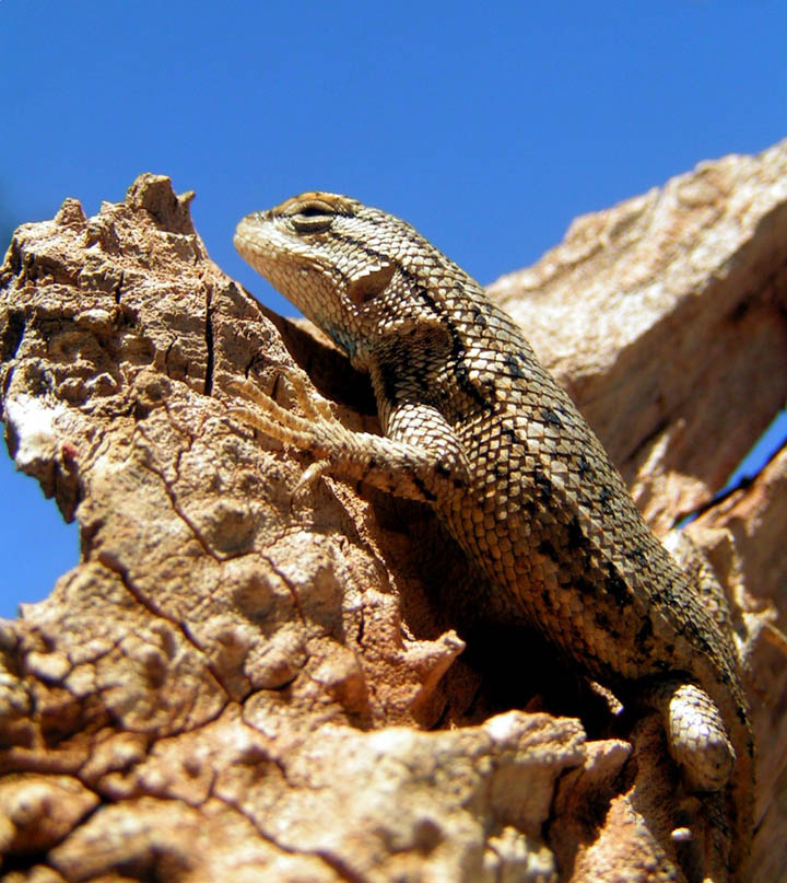 Photographie par jasoned pour DesignCrowd (Community Contests) | Design #9056177