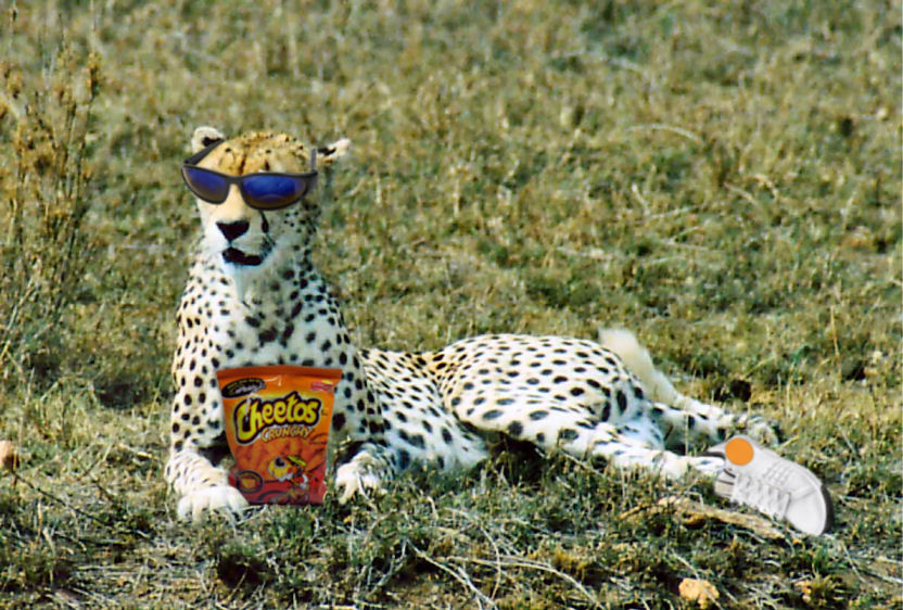 Photoshop Design by Irrwitzer for DesignCrowd (Community Contests) | Design #9049141