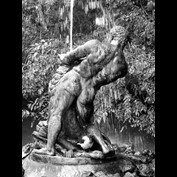 Photography by Limitchik