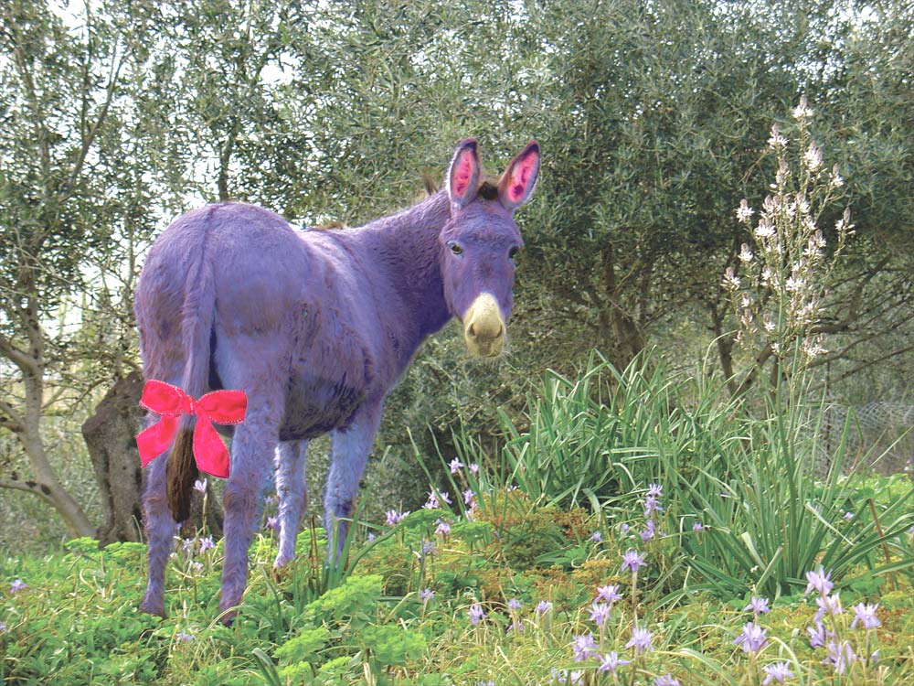 Photoshop Design by ParasiteDemon for DesignCrowd (Community Contests) | Design #9049146