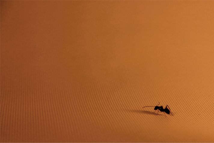 Photography by DoubleDizzle for DesignCrowd (Community Contests) | Design #9039359