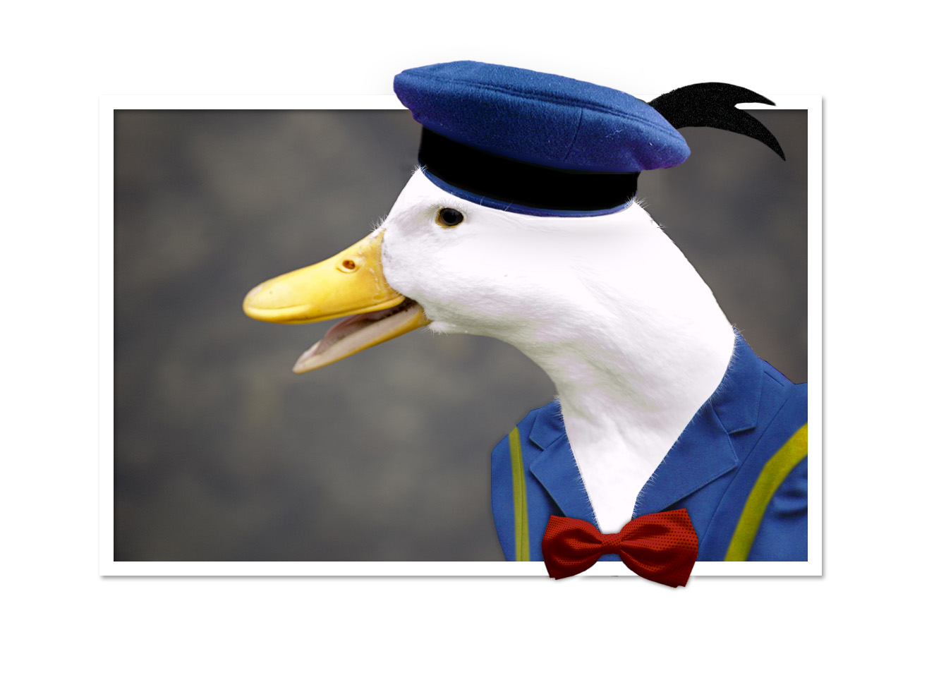 Photoshop Design by wi00zx for DesignCrowd (Community Contests) | Design #9049188