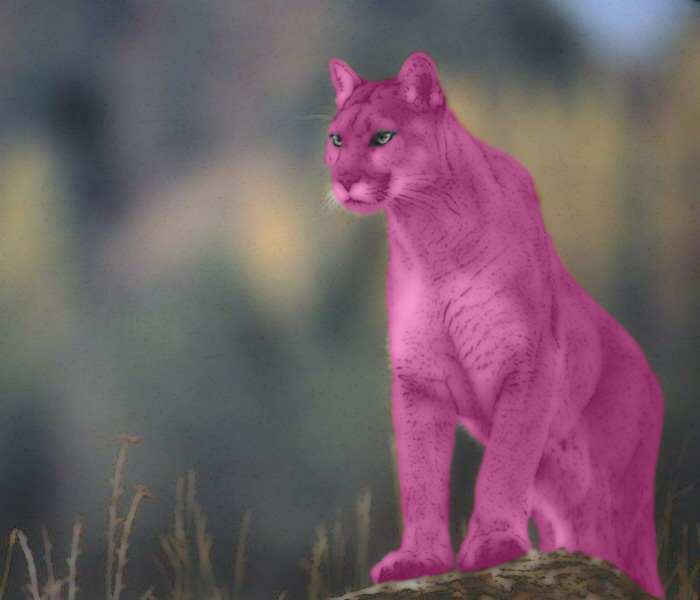 Photoshop Design by JakeFell for DesignCrowd (Community Contests) | Design #9049179