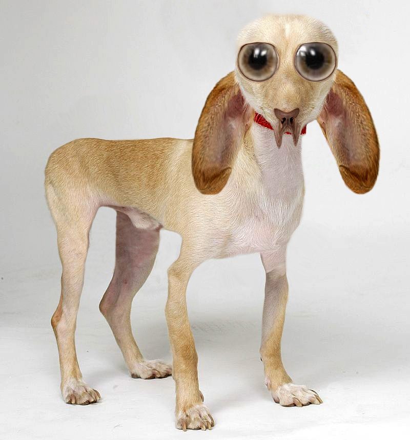 Photoshop Design by ekim1966 for DesignCrowd (Community Contests) | Design #9049175