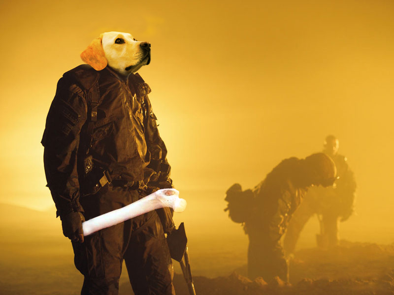 Photoshop Design by Kelian for DesignCrowd (Community Contests) | Design #9050705