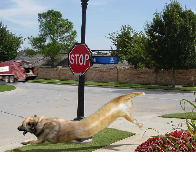 Photoshop Design by witchiepoo for DesignCrowd (Community Contests) | Design #9049218