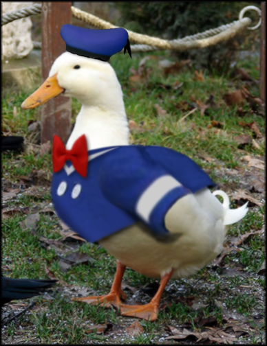 Design Photoshop par Bahamo pour DesignCrowd (Community Contests) | Design #9049278