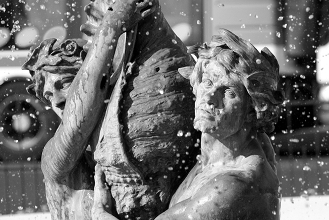 Photography by faltenin for DesignCrowd (Community Contests) | Design #9052592