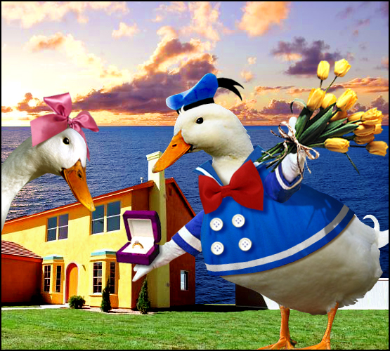 Photoshop Design by davidberettaowens for DesignCrowd (Community Contests) | Design #9049237