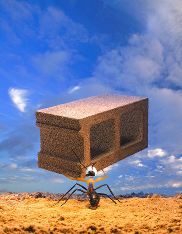 Photoshop Design by tiocoy for DesignCrowd (Community Contests) | Design #9049459