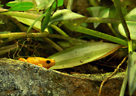 Photography by cooganj for DesignCrowd (Community Contests) | Design #9056230