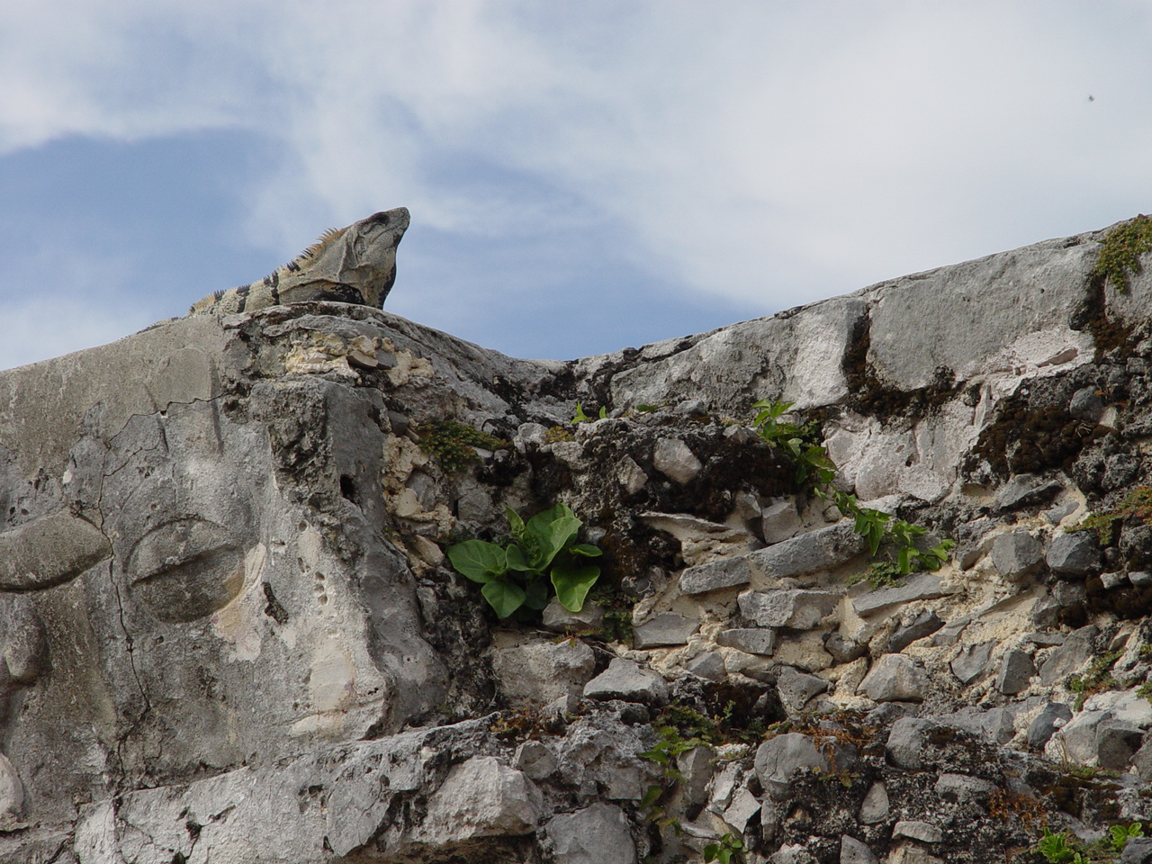 Photography by ljvgtj for DesignCrowd (Community Contests) | Design #9056273