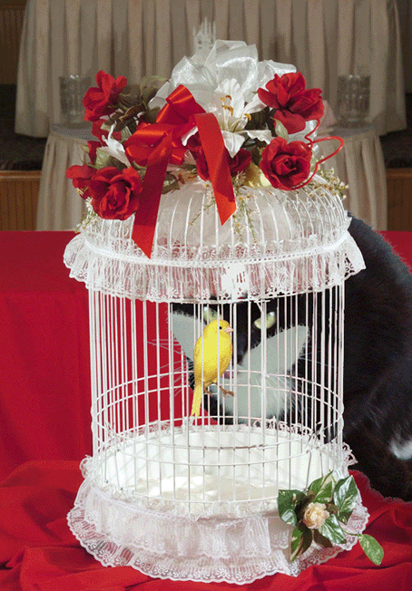 Photoshop-Design von xd3333 für DesignCrowd (Community Contests) | Design #9049428