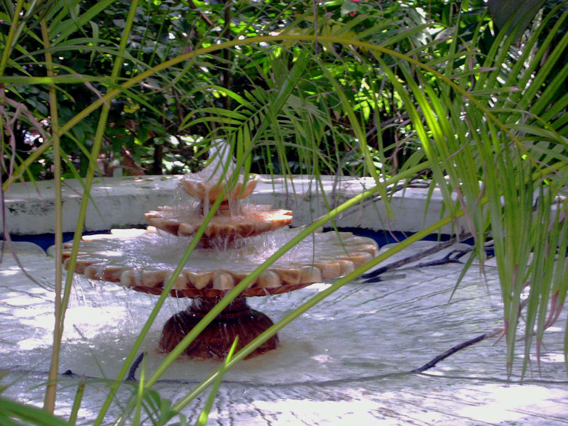 Photography by coolpix2 for DesignCrowd (Community Contests) | Design #9052582