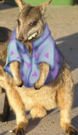 Photoshop Design by bryguy54 for DesignCrowd (Community Contests) | Design #9049364