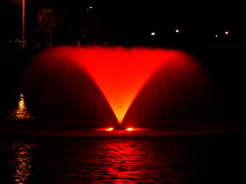 Photography by texascliff69 for DesignCrowd (Community Contests) | Design #9052574