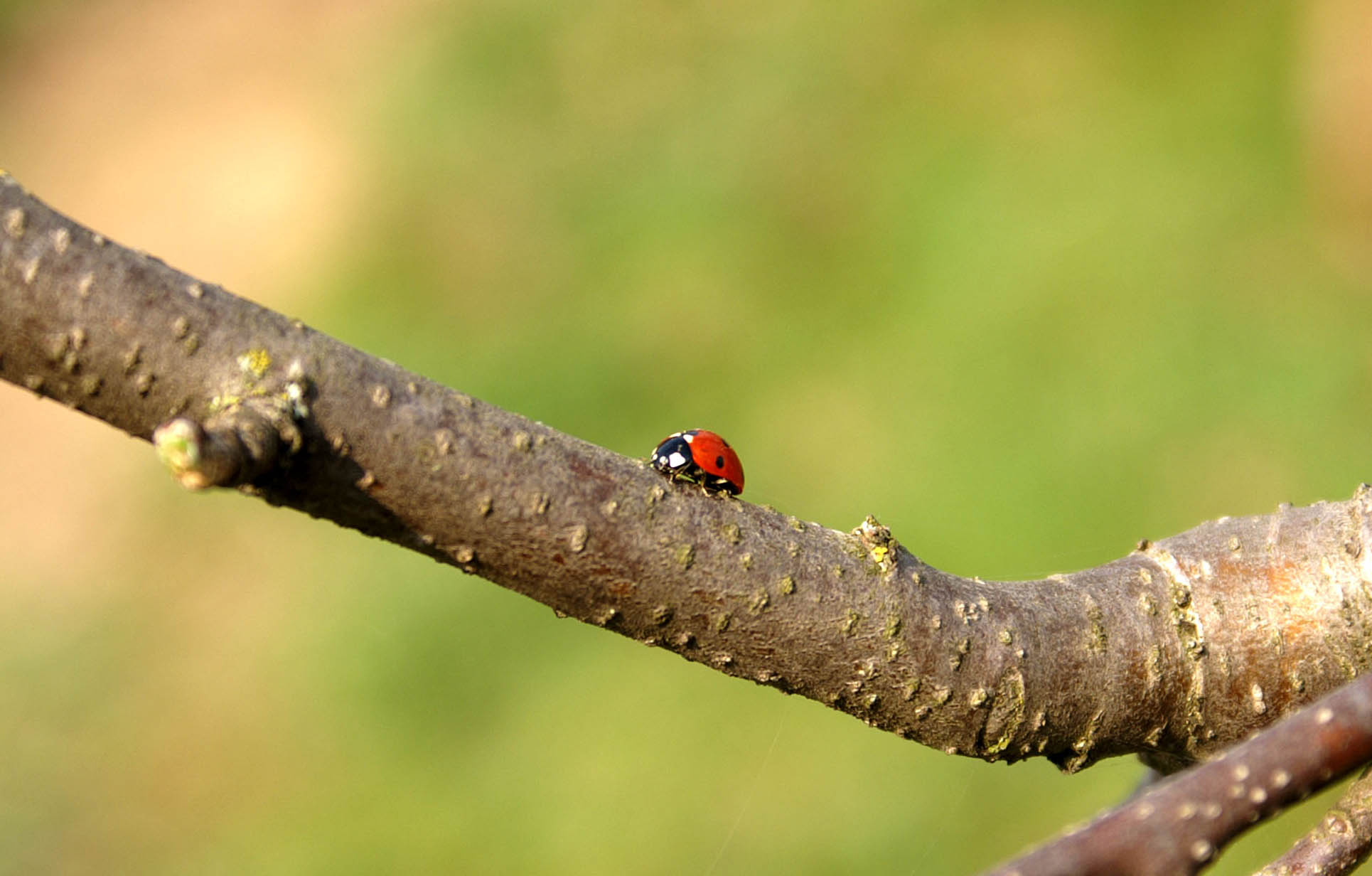 Photography by Warny for DesignCrowd (Community Contests) | Design #9056296