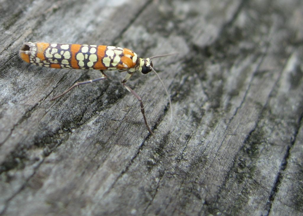 Fotografie von paulbillett für DesignCrowd (Community Contests) | Design #9056307