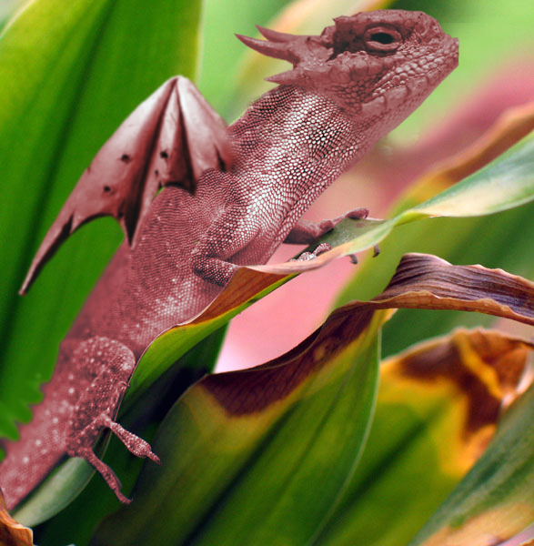 Photoshop-Design von joeri1990 für DesignCrowd (Community Contests) | Design #9036781