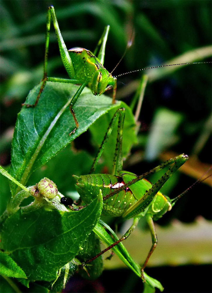 Photography by ozplasmic for DesignCrowd (Community Contests) | Design #9056341