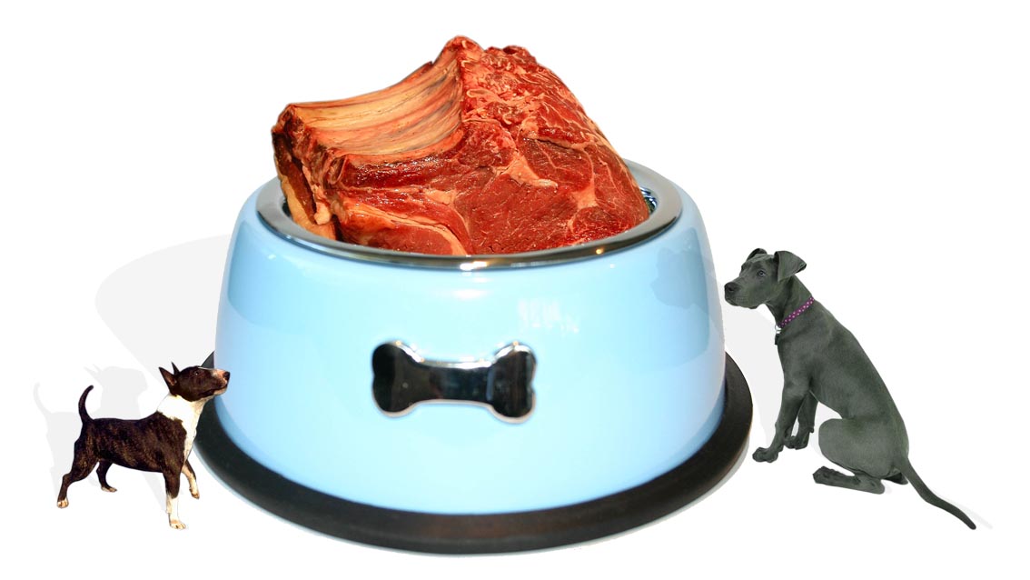 Photoshop Design by Jameschez15 for DesignCrowd (Community Contests) | Design #9048268