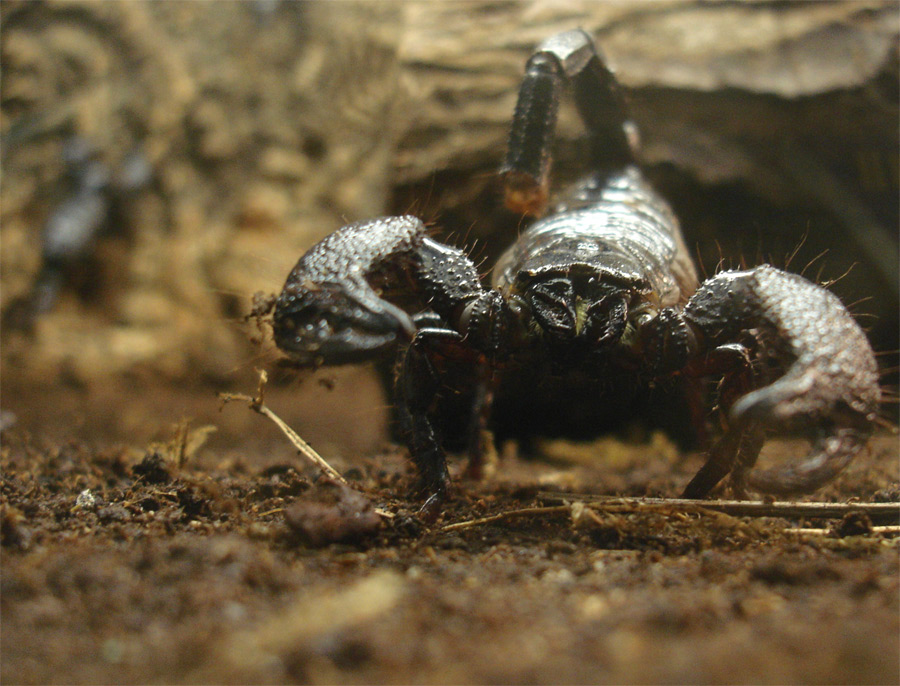 Photography by lardus for DesignCrowd (Community Contests) | Design #9056428