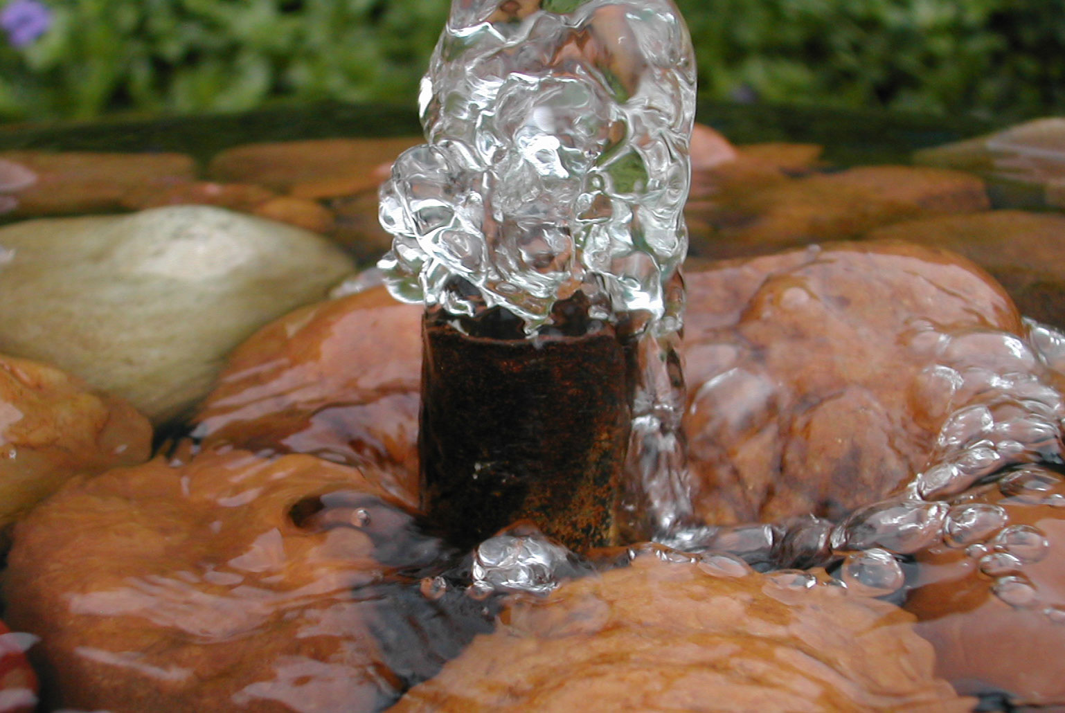 Fotografie von Jellybellybeans für DesignCrowd (Community Contests) | Design #9052649