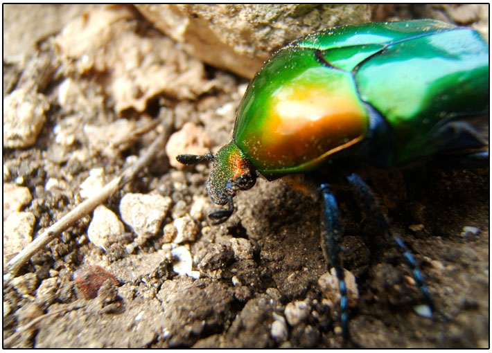 Fotografía por GlueJuice para DesignCrowd (Community Contests) | Diseño #9056322