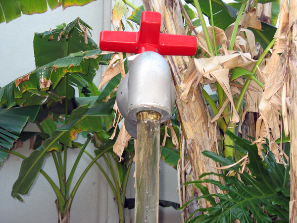 Photography by Larah McElroy for DesignCrowd (Community Contests) | Design #9052641