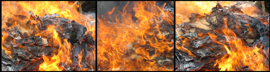 Photography by Larah McElroy for DesignCrowd (Community Contests) | Design #9048318