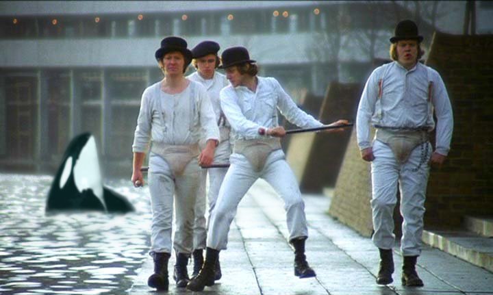 Diseño de Photoshop por moco11 para DesignCrowd (Community Contests) | Diseño #9052181