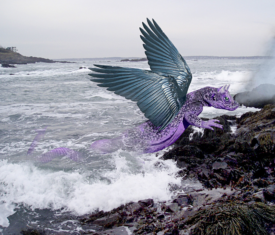 Photoshop Design by goldkat for DesignCrowd (Community Contests) | Design #9036866