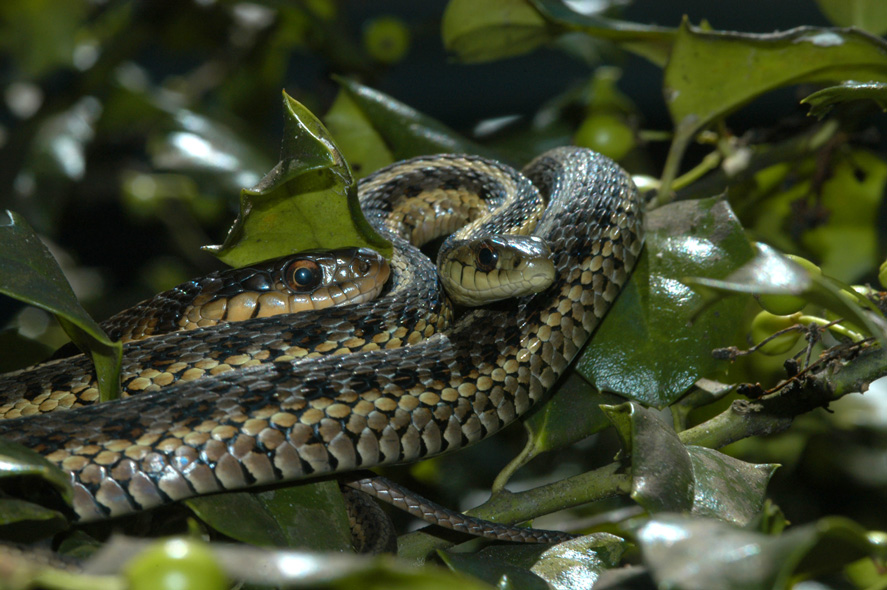 Photography by Joanne25 for DesignCrowd (Community Contests) | Design #9056451