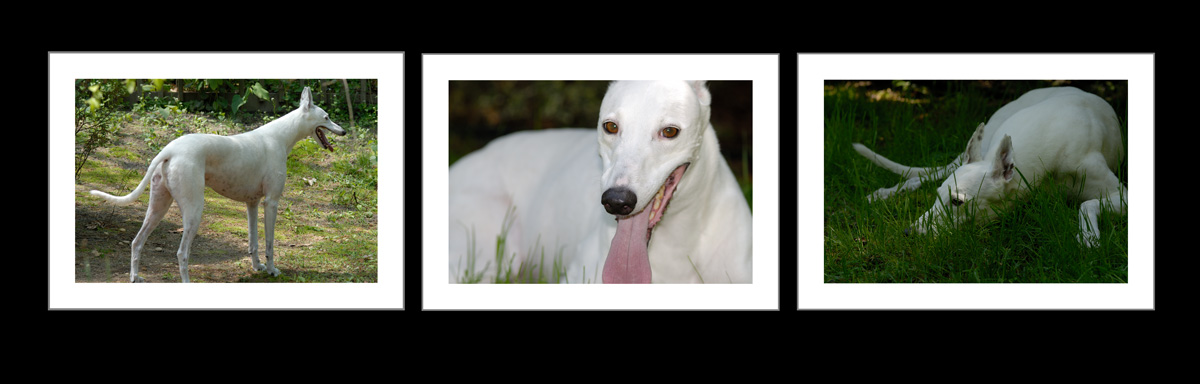 Photography by Joanne25 for DesignCrowd (Community Contests) | Design #9048329