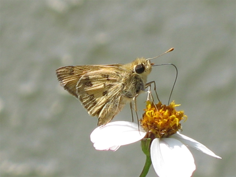 Photography by Larah McElroy for DesignCrowd (Community Contests) | Design #9056338