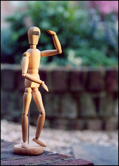 Photography by MrNelson for DesignCrowd (Community Contests) | Design #9038746