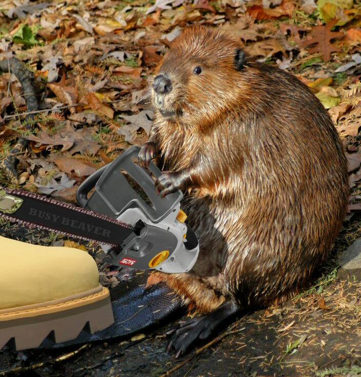 Photoshop Design by orgbot for DesignCrowd (Community Contests) | Design #9052996