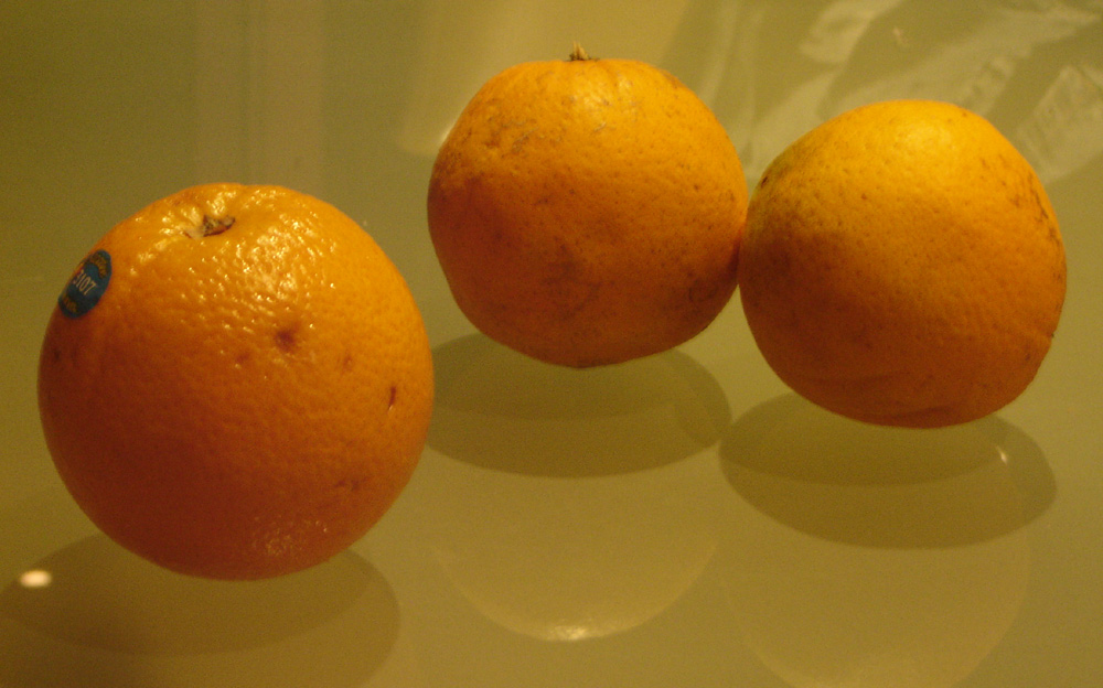 Fotografía por redogishere para DesignCrowd (Community Contests) | Diseño #9047027