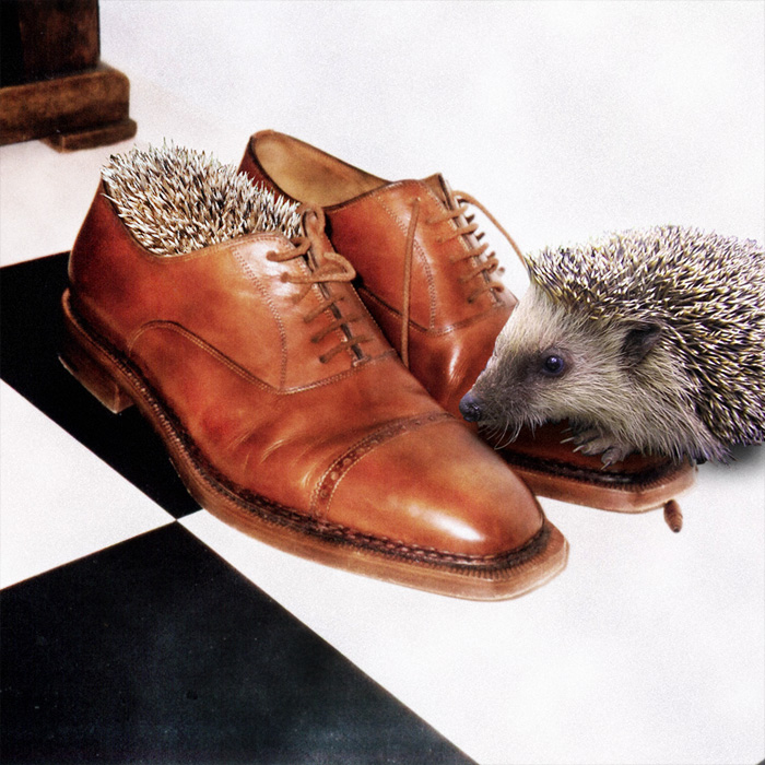 Photoshop Design by greenjesus for DesignCrowd (Community Contests) | Design #9053006