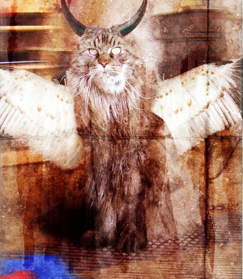 Photoshop Design by nOx3t3 for DesignCrowd (Community Contests) | Design #9053010