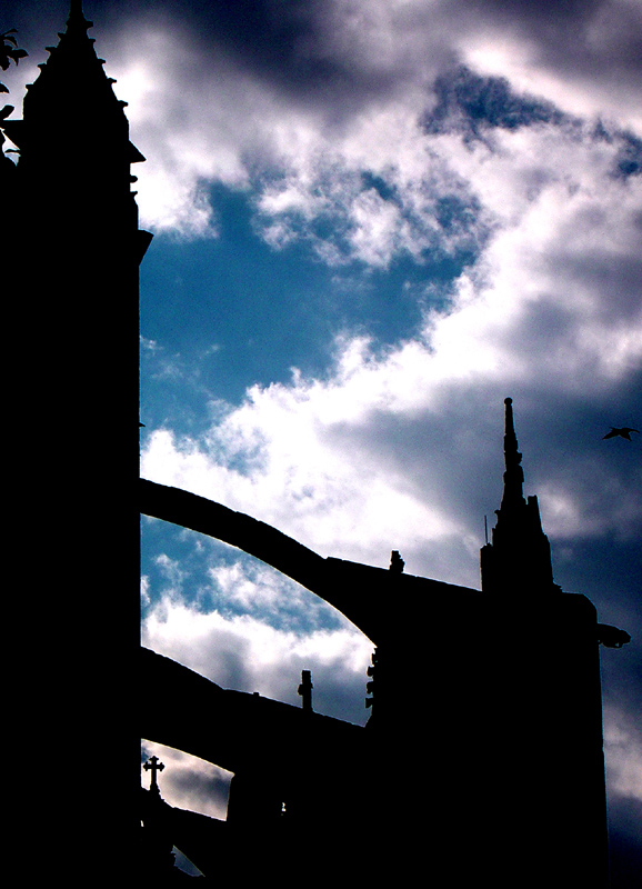 Photography by AsierReisa for DesignCrowd (Community Contests) | Design #9047034