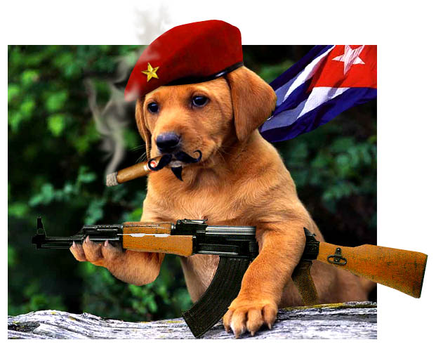 Photoshop Design by davidberettaowens for DesignCrowd (Community Contests) | Design #9053043