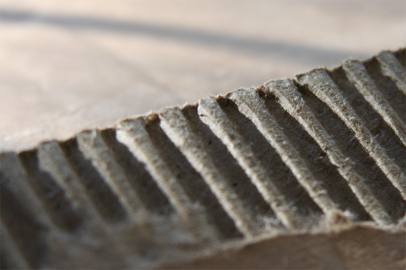 Photographie par lardus pour DesignCrowd (Community Contests) | Design #9052297