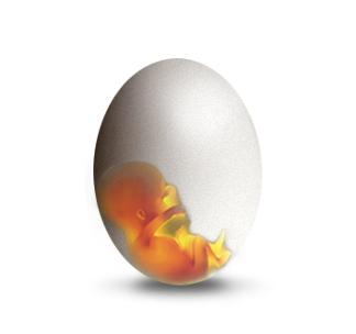 Photoshop Design by marikisoti for DesignCrowd (Community Contests) | Design #9048479