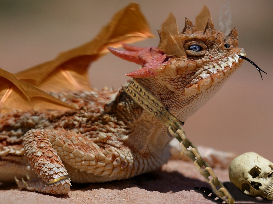 Photoshop Design by ibarra01 for DesignCrowd (Community Contests) | Design #9036869