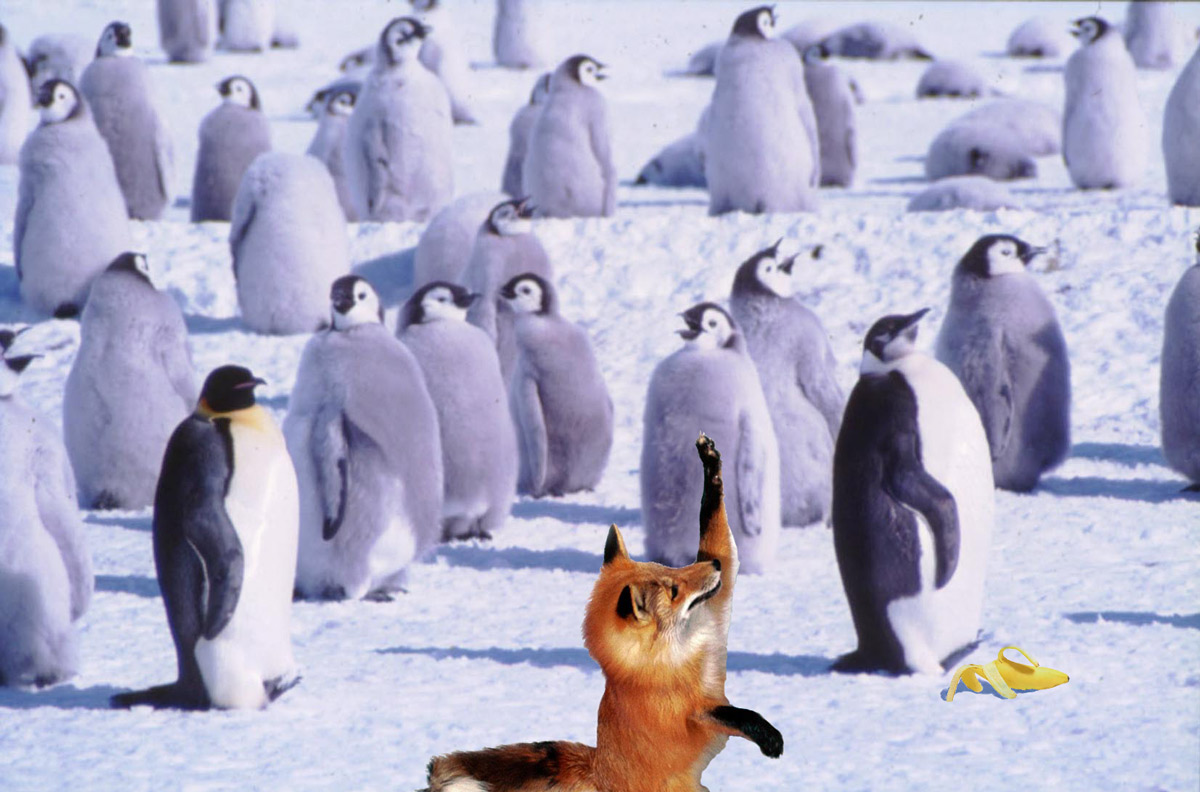 Photoshop Design by RtBlanx for DesignCrowd (Community Contests) | Design #9053107