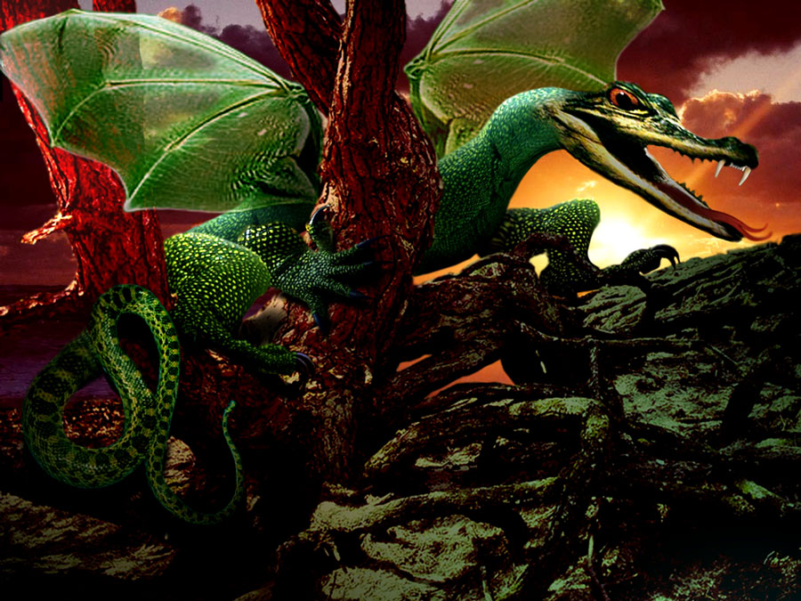 Photoshop Design by DutchPuh for DesignCrowd (Community Contests) | Design #9036954