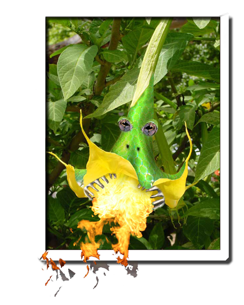 Photoshop Design by TheGr8TGatsby67 for DesignCrowd (Community Contests) | Design #9036951